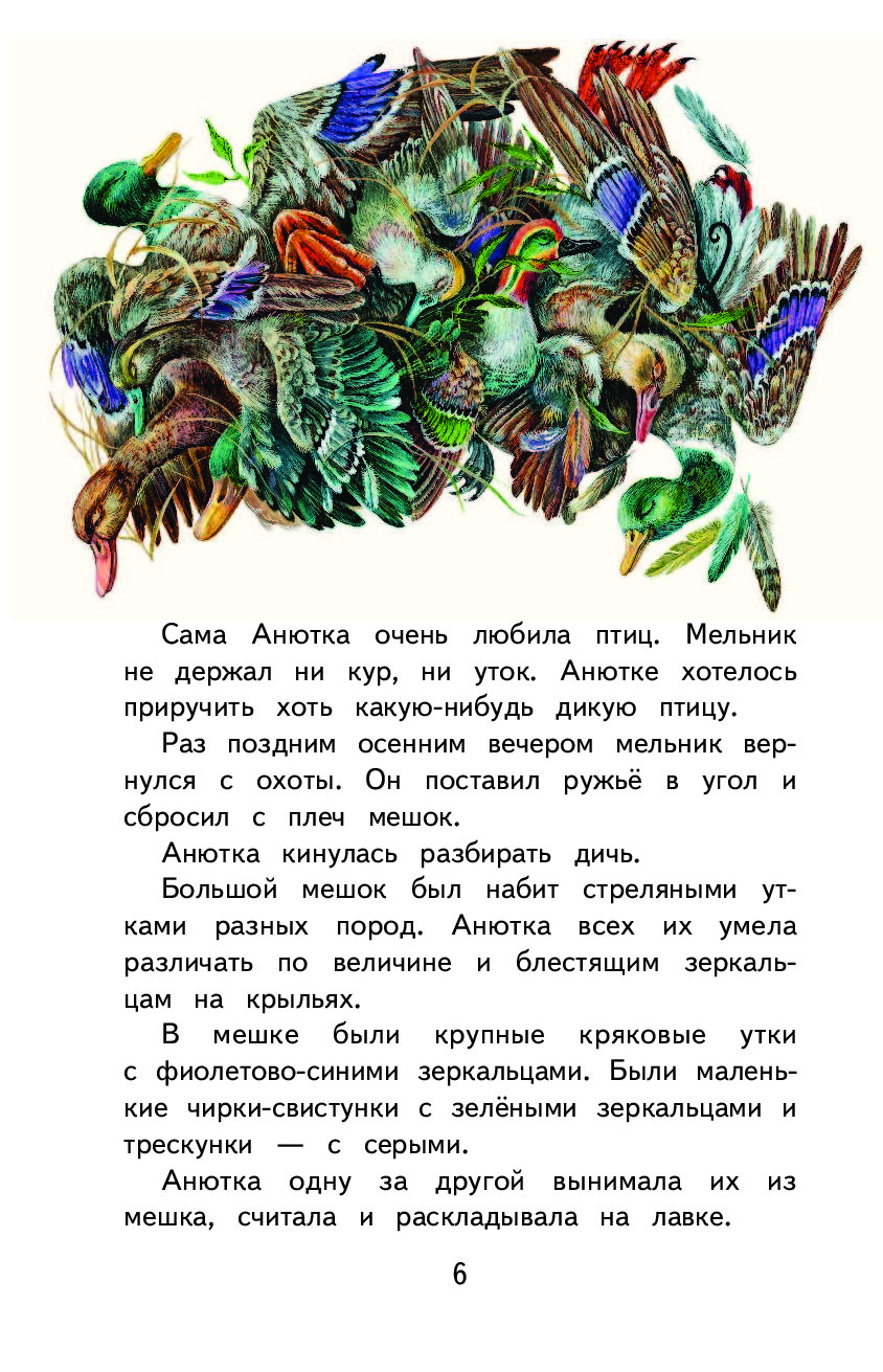 Анюткина утка - сказки бианки: читать с картинками, иллюстрациями - сказка dy9.ru