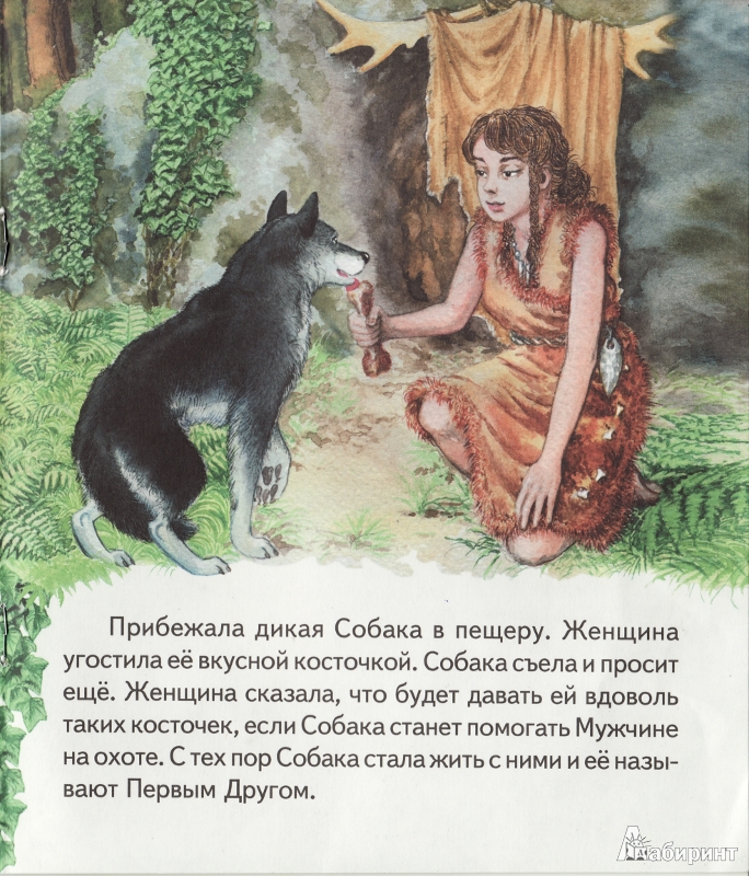 Кошка, гулявшая сама по себе - сказки киплинга: читать с картинками, иллюстрациями - сказка dy9.ru - страница 2 из 3