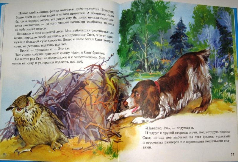 Краткая биография пришвина – самое важное и интересное для детей из жизни михаила михайловича