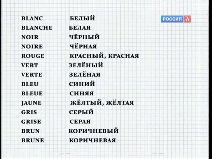 Французский язык: чем интересен и как широко распространен