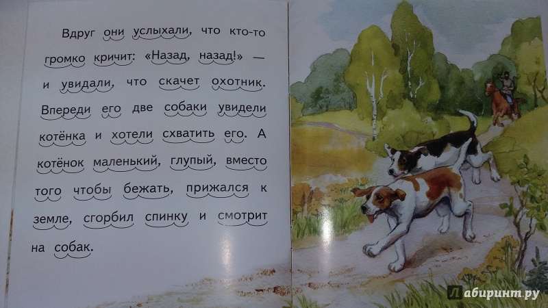 Лев толстой. рассказ «котёнок. булька — лев толстой л толстой котенок читать полностью