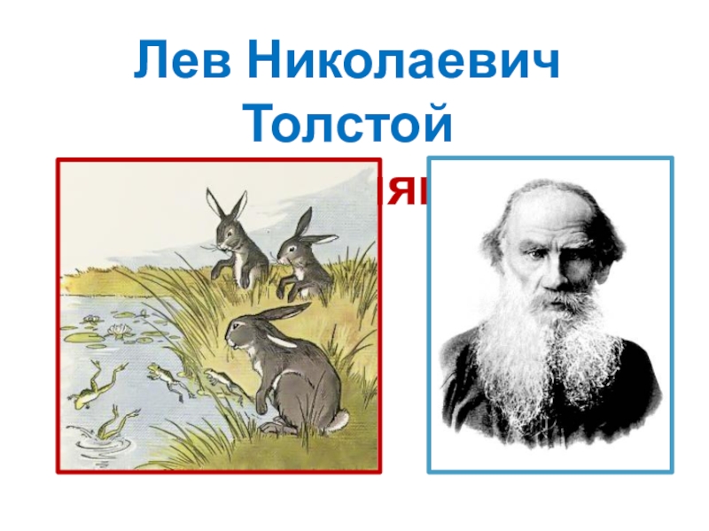 ✅ лев толстой зайцы читать. зайцы - elpaso-antibar.ru