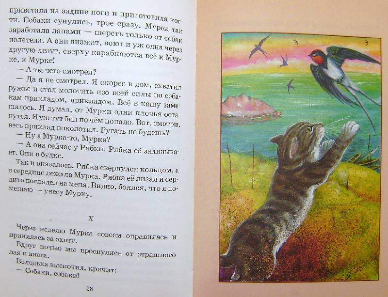 Житков б. «беспризорная кошка» читательский дневник, краткое содержание