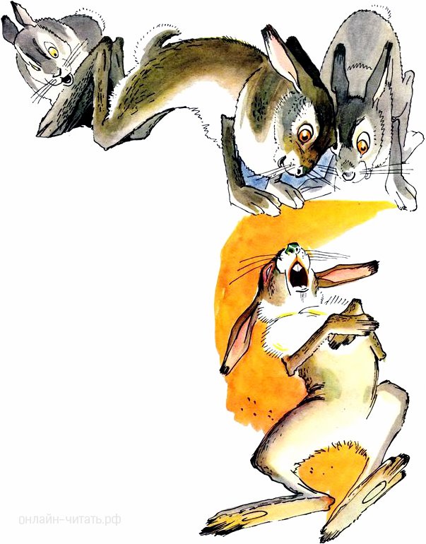 Сказка про храброго зайца — длинные уши, косые глаза, короткий хвост