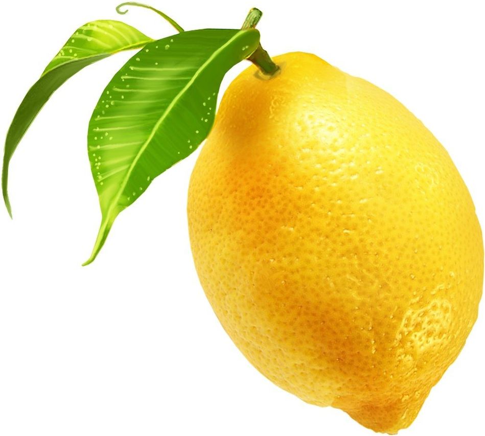 Читать онлайн книгу лимон - михаил пришвин бесплатно. 1-я страница текста книги.