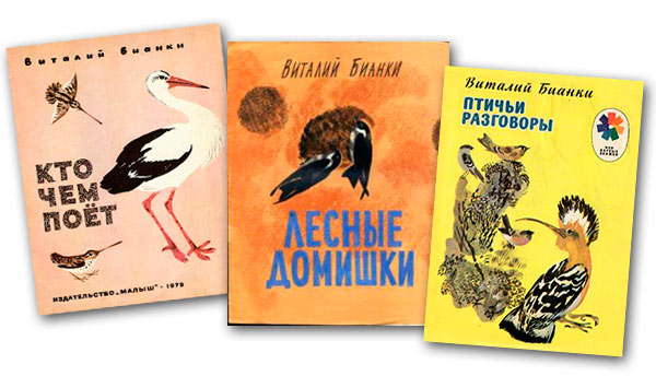 Сказки-несказки: почему чайки белые - сказки бианки: читать с картинками, иллюстрациями - сказка dy9.ru