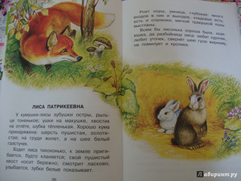 К.д.ушинский. рассказы о животных - педагоги. учебники. литература.