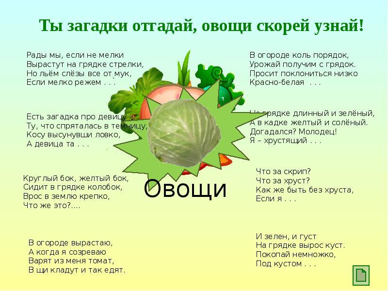 Загадки про овощи с ответами — лучшая подборка для детей: 120 загадок