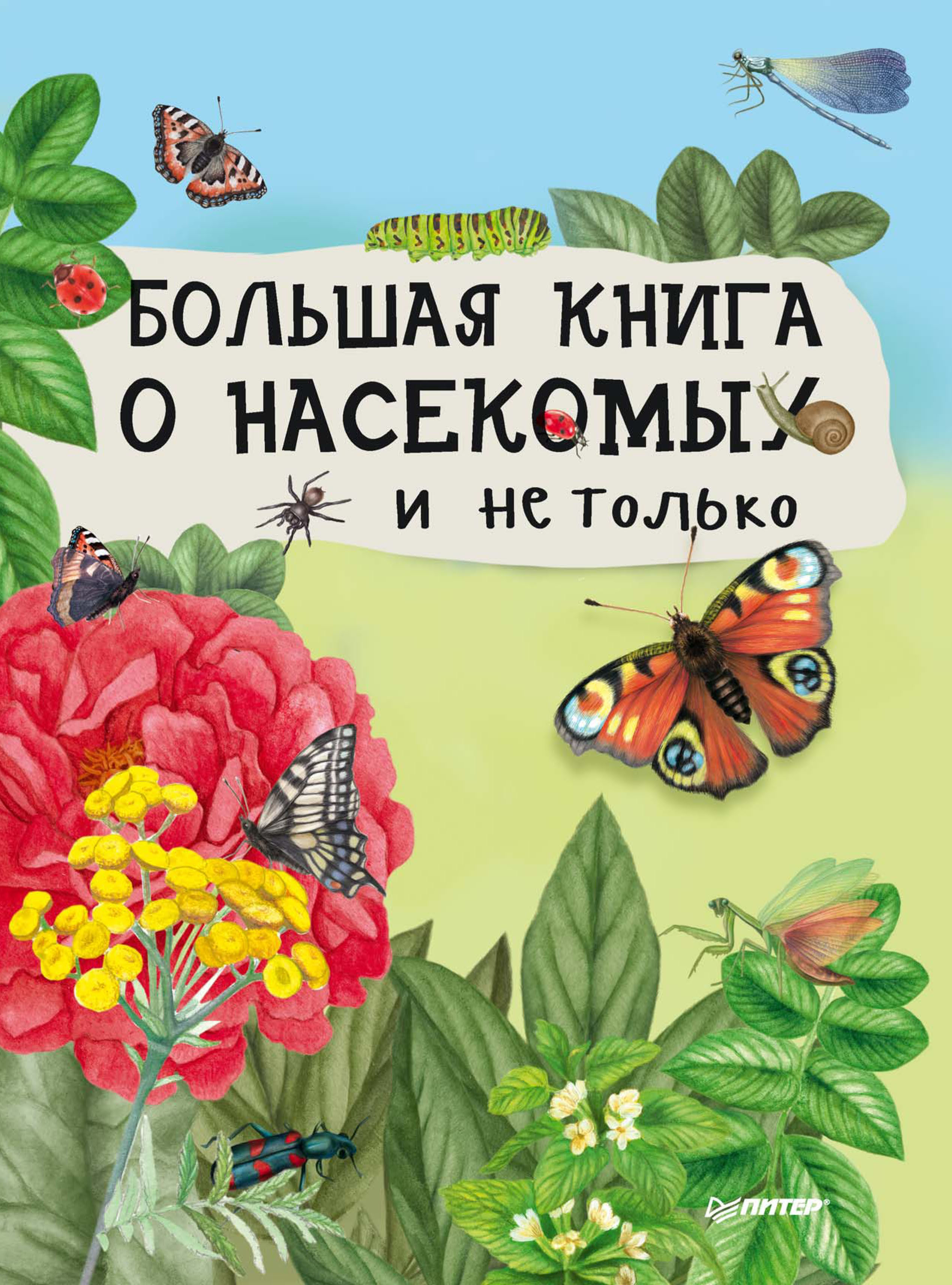  про насекомых для детей: интересные рассказы и сказки для дошкольников
