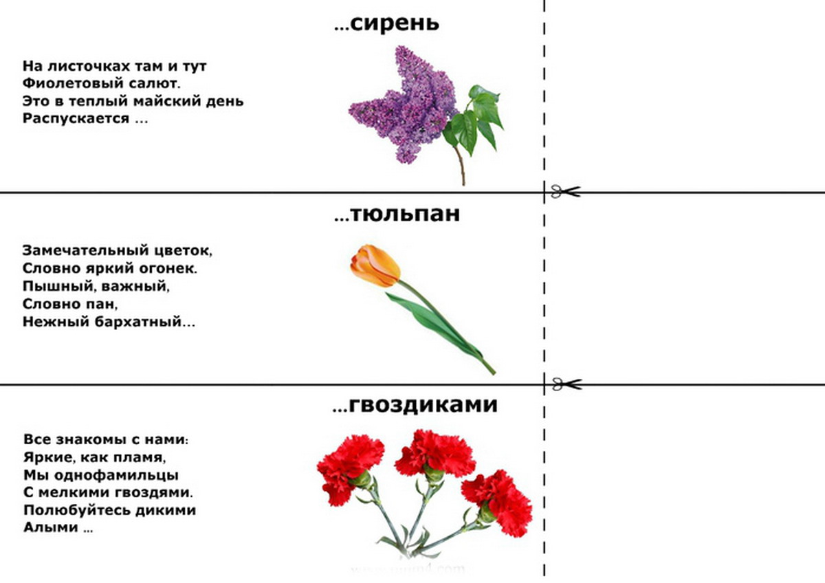 Загадки про растения с ответами для 1-2-3 класса